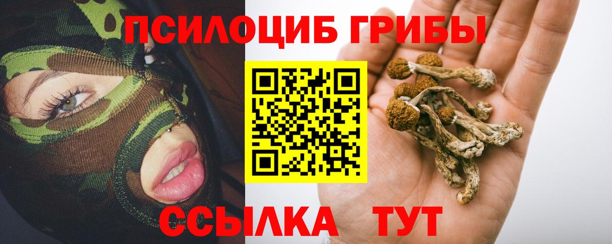 Псилоцибиновые грибы мухоморы Фурманов