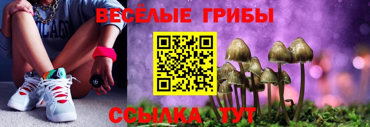 Псилоцибиновые грибы MAGIC MUSHROOMS  Вход с VPN  Фурманов 