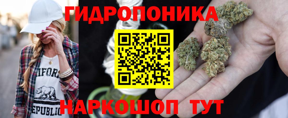 Фурманов  Бошки Шишки VHQ  Вход с VPN  МАРИХУАНА конопля  Канабис OG Kush  Марихуана планчик 